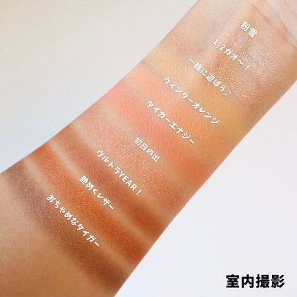 ムジークタイガープレイカラーアイズ/ETUDE/アイシャドウパレットを使ったクチコミ(6枚目)