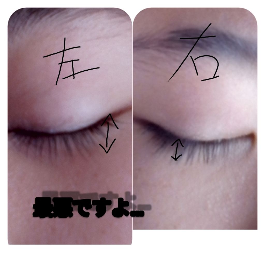 自己紹介/雑談/その他を使ったクチコミ（1枚目）