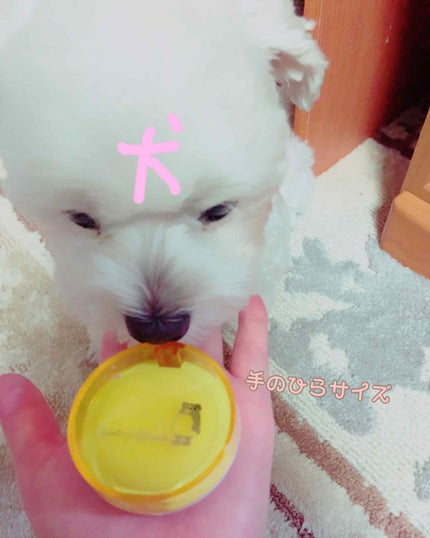 素肌キレイパウダー/カントリー&ストリーム/プレストパウダーを使ったクチコミ(2枚目)