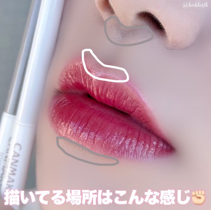 リップトリックライナー/キャンメイク/リップライナーを使ったクチコミ(7枚目)