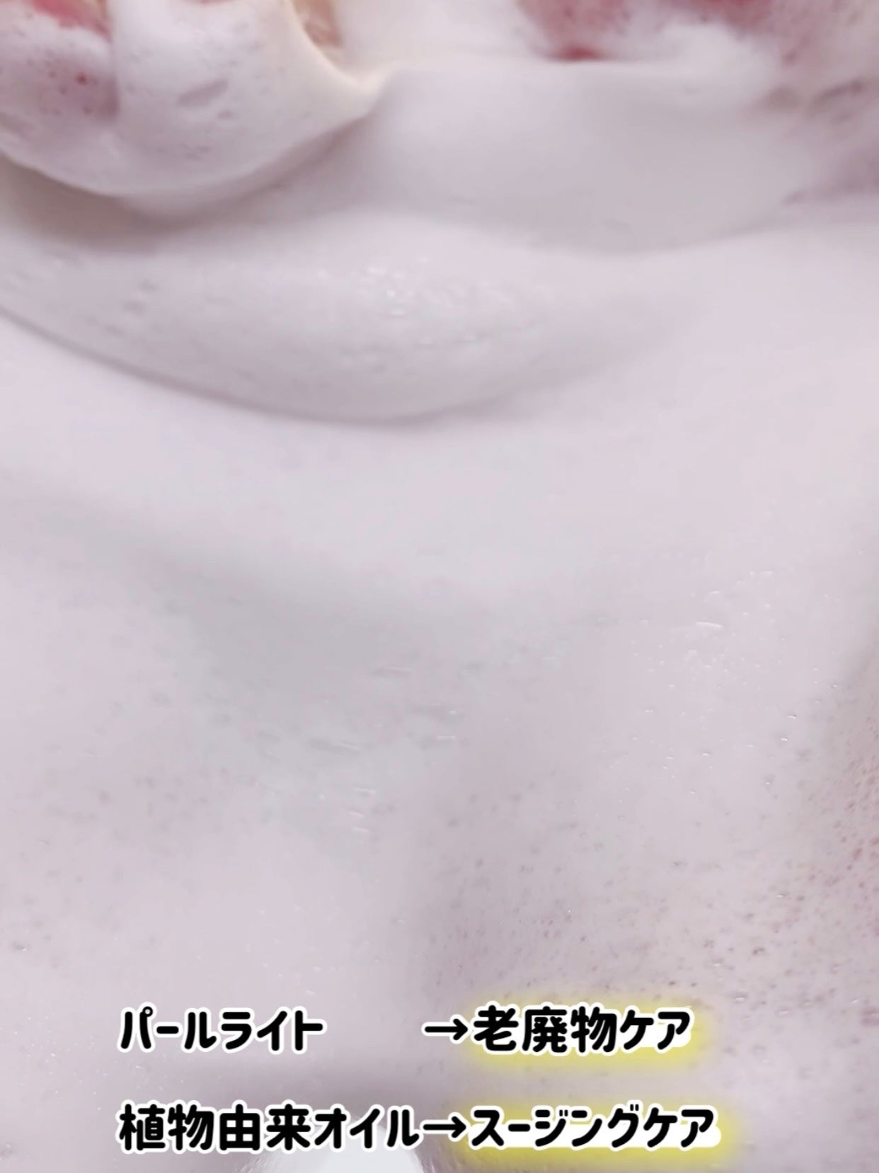 ìíðãã©ãã100 on LIPS ãCellFusionCãã¢ãµã³ã¯ã¬ã³ãžã³ã°ãã©ãŒã ã150ml..ãïŒ4æç®ïŒ