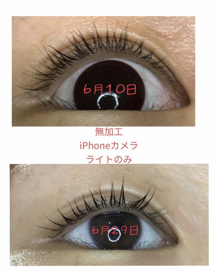 ラッシュジェリードロップ EX/MAJOLICA MAJORCA/まつげ美容液を使ったクチコミ(1枚目)