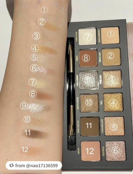 エクスプローラ12色 動物アイシャドウパレット/PERFECT DIARY/アイシャドウパレットを使ったクチコミ(3枚目)