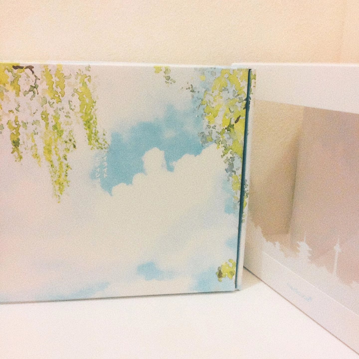 ゼロ毛穴パッド 2.0/MEDICUBE/トナーパッドを使ったクチコミ（3枚目）