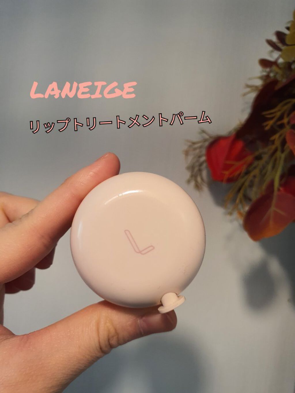 リップトリートメントバーム/LANEIGE/リップケアを使ったクチコミ（1枚目）