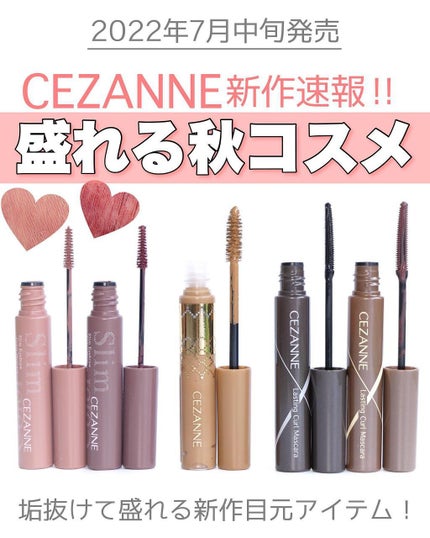 ノーズ&アイブロウパウダー/CEZANNE/パウダーアイブロウを使ったクチコミ(1枚目)