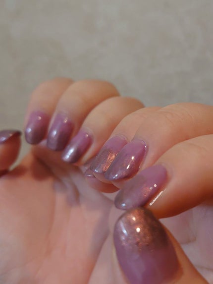 トップジェル/Petit Price/ジェルネイルを使ったクチコミ(3枚目)