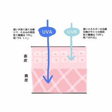 トーンアップUV エッセンス/サンカット®/日焼け止め・UVケアを使ったクチコミ（2枚目）