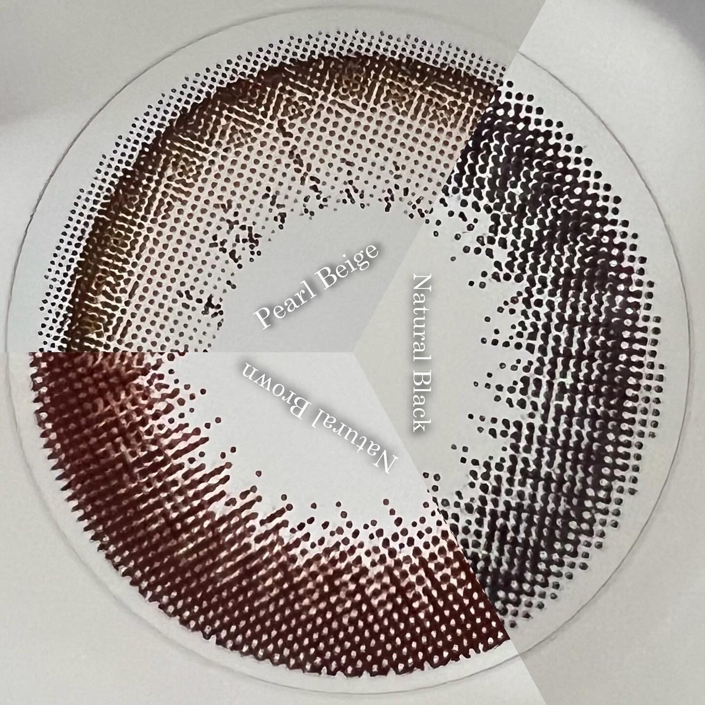 エバーカラーワンデー ナチュラル/エバーカラー/ワンデー(1DAY)カラコンを使ったクチコミ(4枚目)