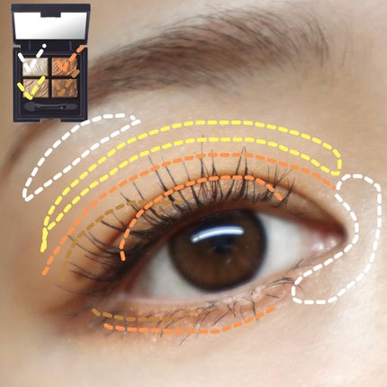 フラロッソ インテンソ アイシャドウ/アスタリフト/アイシャドウパレットを使ったクチコミ(5枚目)