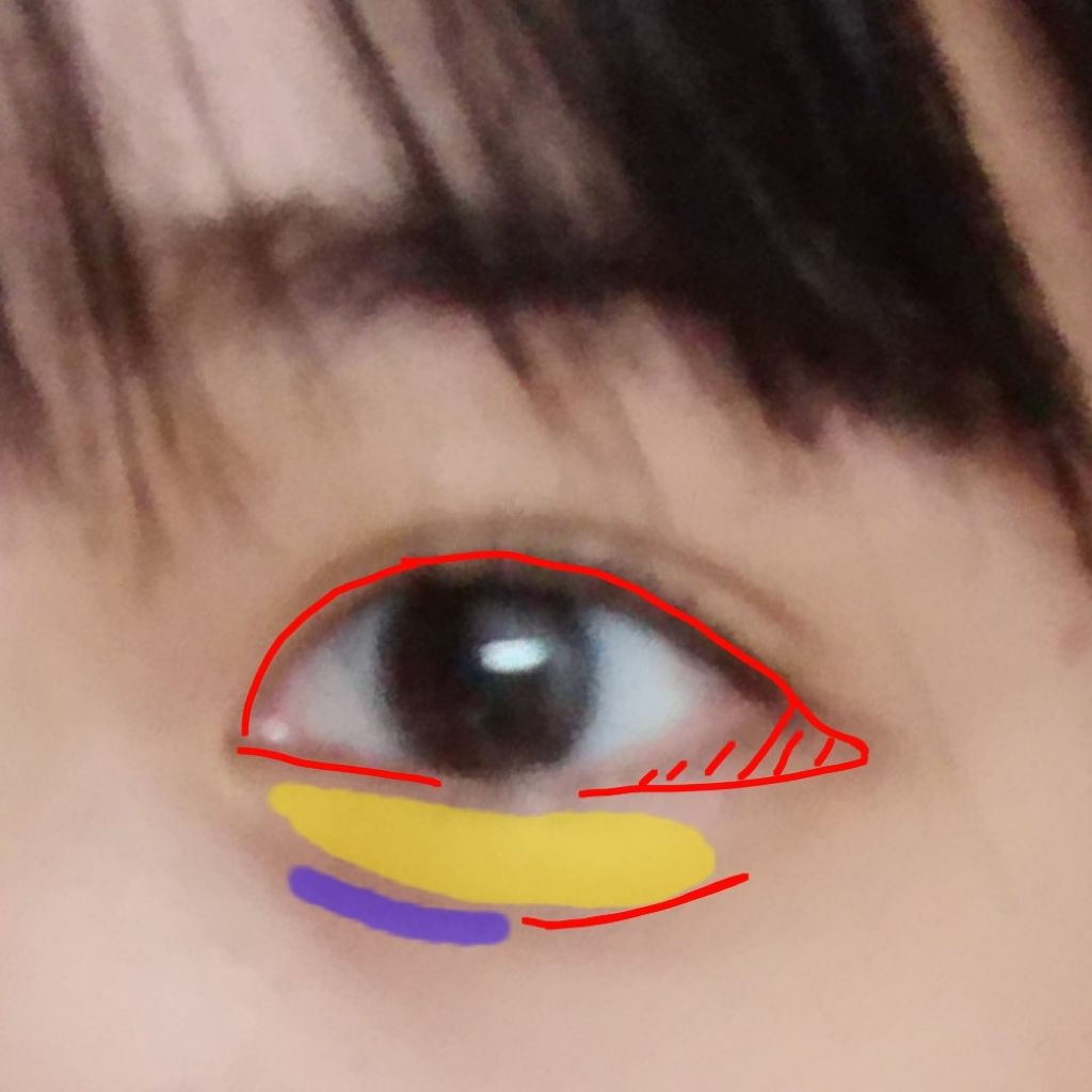 ノーズ＆アイブロウパウダー/CEZANNE/パウダーアイブロウを使ったクチコミ（3枚目）