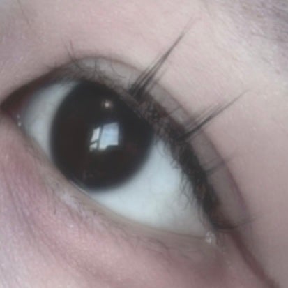 アイラッシュフィクサーEX 552/D-UP/つけまつげを使ったクチコミ(4枚目)