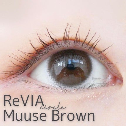 ReVIA CIRCLE 1day/ReVIA/ワンデー(1DAY)カラコンを使ったクチコミ(1枚目)