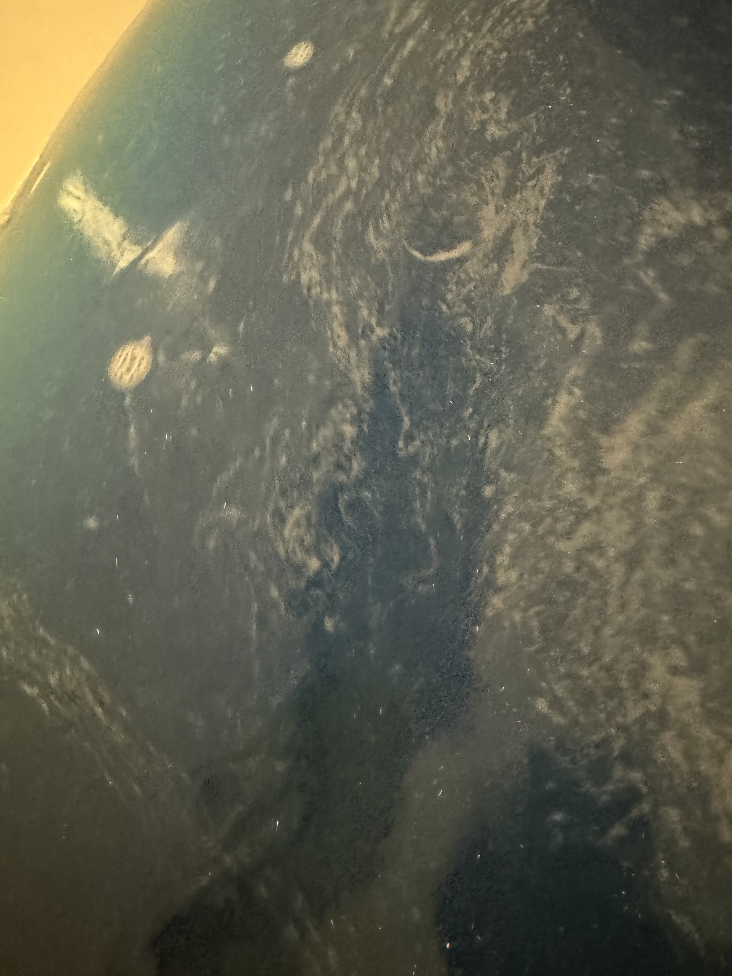 インターギャラクティック/ラッシュ/炭酸系入浴剤を使ったクチコミ（3枚目）