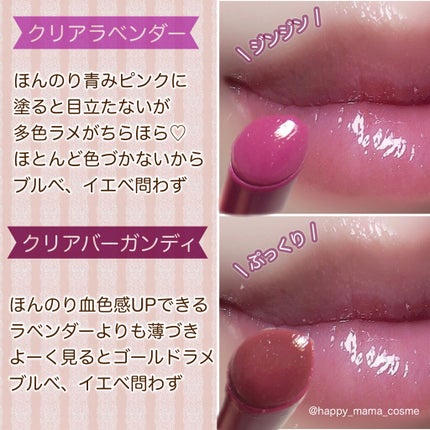 エテュセ リップエディション(プランパー)リッチスタイル/ヘルシースタイル/ettusais/リップケアを使ったクチコミ(2枚目)