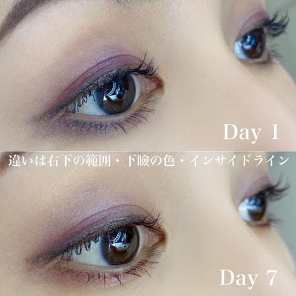 レ キャトル オンブル/CHANEL/アイシャドウパレットを使ったクチコミ(10枚目)