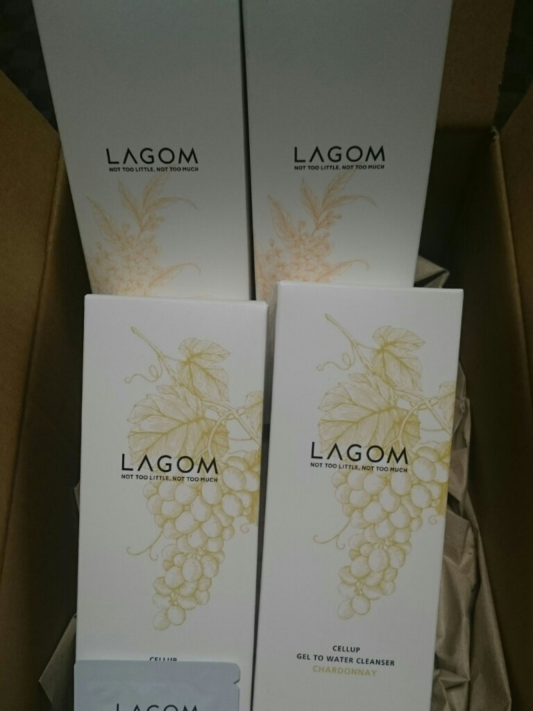 ジェルトゥウォーター クレンザー（KI）（朝洗顔料）/LAGOM /その他洗顔料を使ったクチコミ（1枚目）