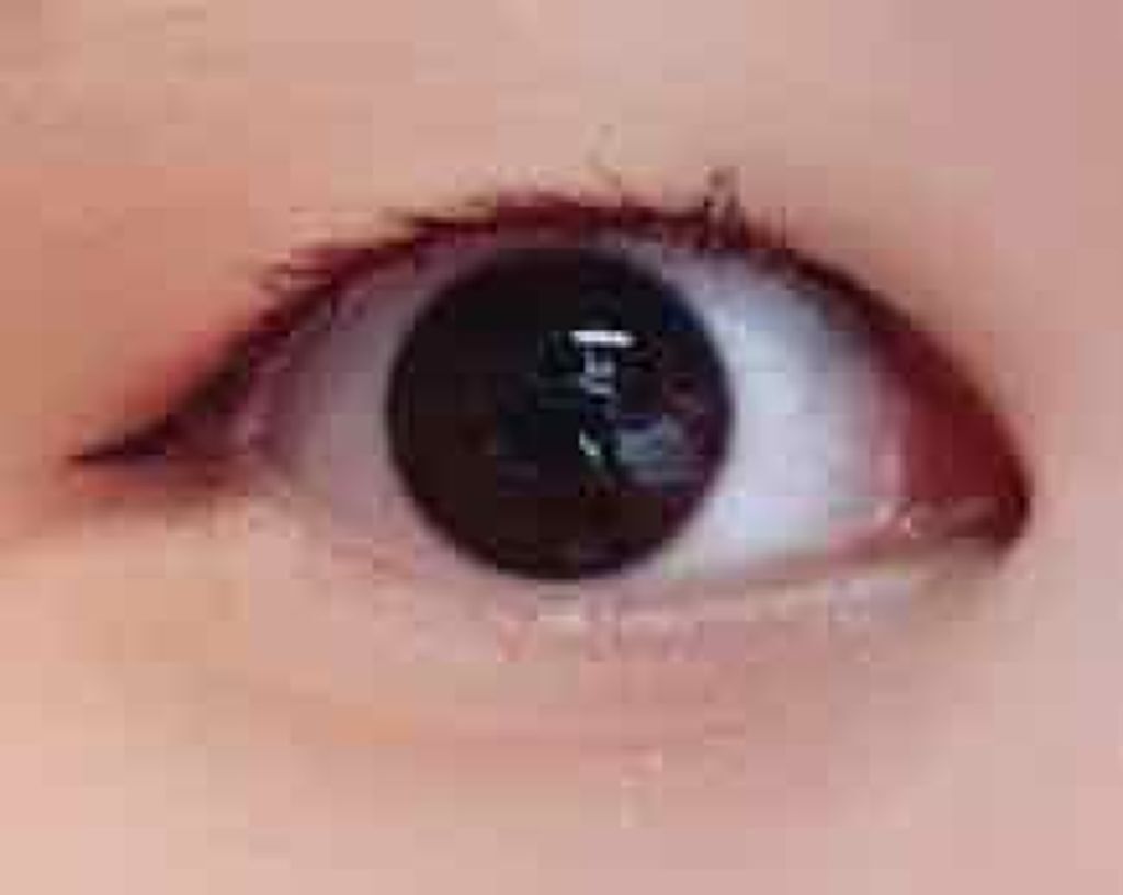 エスポルール カラーマスカラ/エスポルール/マスカラを使ったクチコミ（2枚目）