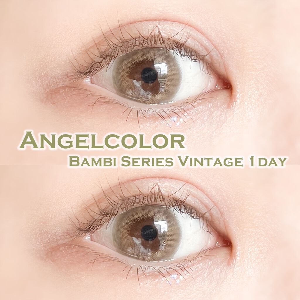 Angelcolor Bambi Series Vintage 1day ヴィンテージヘーゼル/AngelColor/ワンデー（１DAY）カラコンを使ったクチコミ（1枚目）