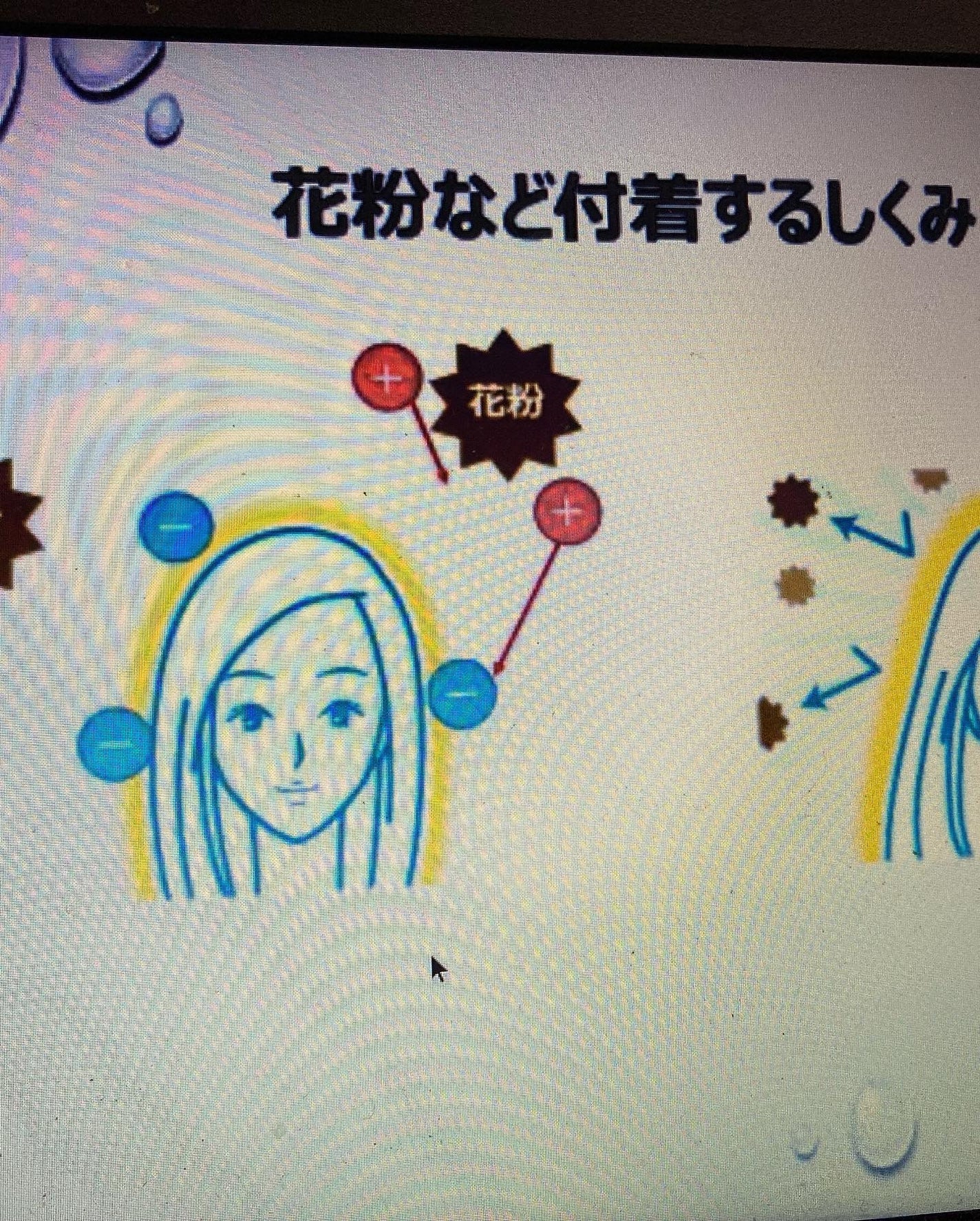 にゃんこ on LIPS 「サンプル百貨店さんのイベントで紹介されました。アース製薬アレル..」(4枚目)