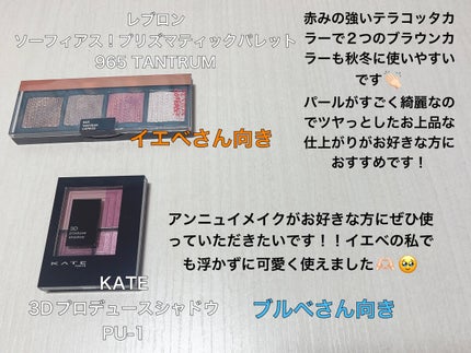 グロッシーリッチ アイズ N/Visée/アイシャドウパレットを使ったクチコミ(3枚目)