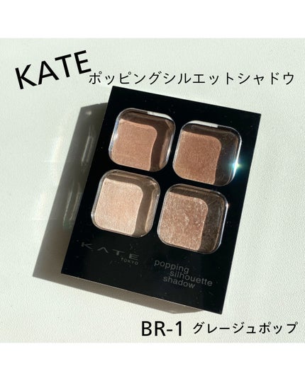 ケイト ポッピングシルエットシャドウ/KATE/アイシャドウパレットを使ったクチコミ(2枚目)