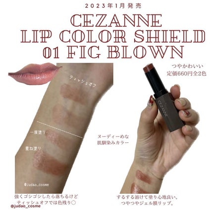 リップカラーシールド/CEZANNE/口紅を使ったクチコミ(1枚目)