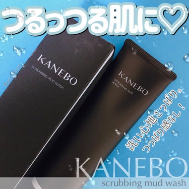 スクラビング　マッド　ウォッシュ/KANEBO/洗顔フォームを使ったクチコミ（1枚目）