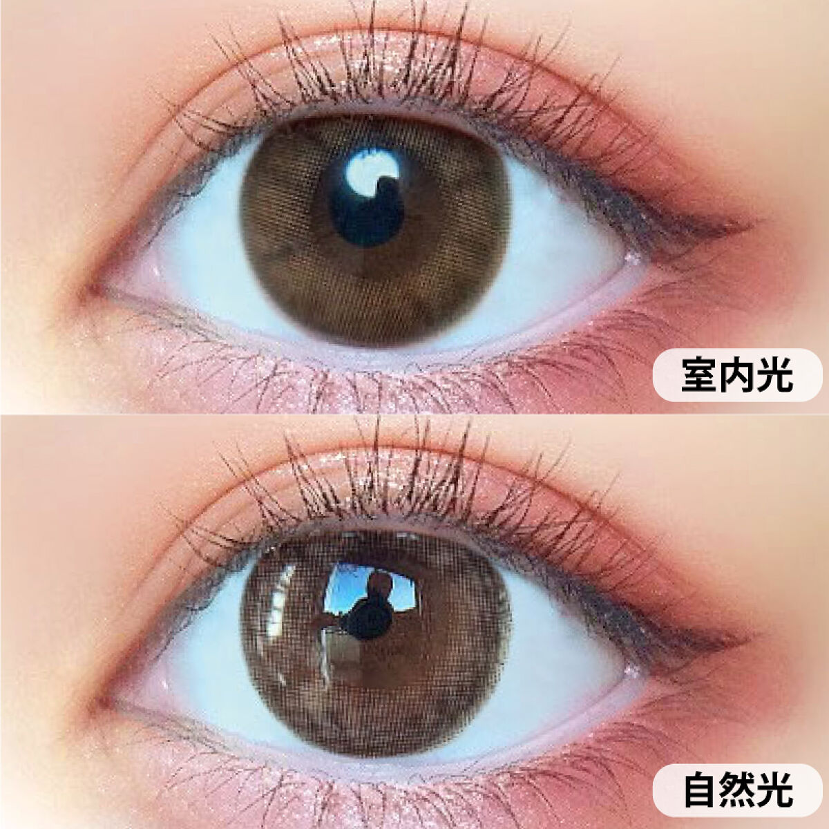 チャンス ワンデー クレバーブラウン