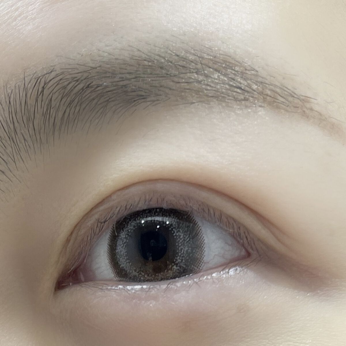 envie 1day シャンパングレイ/envie/ワンデー（１DAY）カラコンを使ったクチコミ（1枚目）