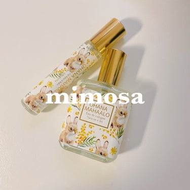 OHANA MAHAALO オハナマハロ オードトワレ 〈ナウオエエレイ〉のクチコミ「3.8はミモザの日なので
いつも使ってるミモザの香りの香水を紹介します🌼

𓐄 𓐄 𓐄 𓐄 𓐄.....」（1枚目）