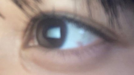 カラーミキシングコンシーラー/キャンメイク/パレットコンシーラーを使ったクチコミ(2枚目)