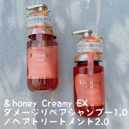 Creamy EXダメージリペアシャンプー1.0/ヘアトリートメント2.0/&honey/市販シャンプーを使ったクチコミ(1枚目)