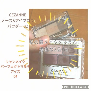 ノーズ＆アイブロウパウダー/CEZANNE/パウダーアイブロウを使ったクチコミ（1枚目）