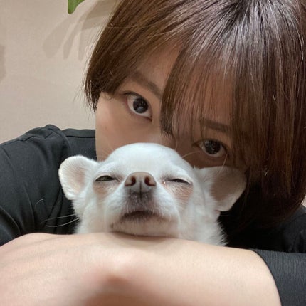 しに子ちゃん on LIPS 「漢検と英検の二級を受けるか準一級受けるかで迷ってる。漢検のホー..」(1枚目)