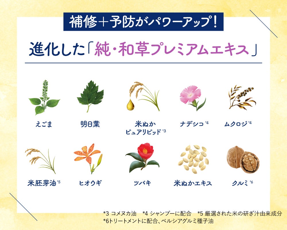 【LIPSベスコスW受賞】いち髪が美容オタク界隈で"今"支持される理由の画像