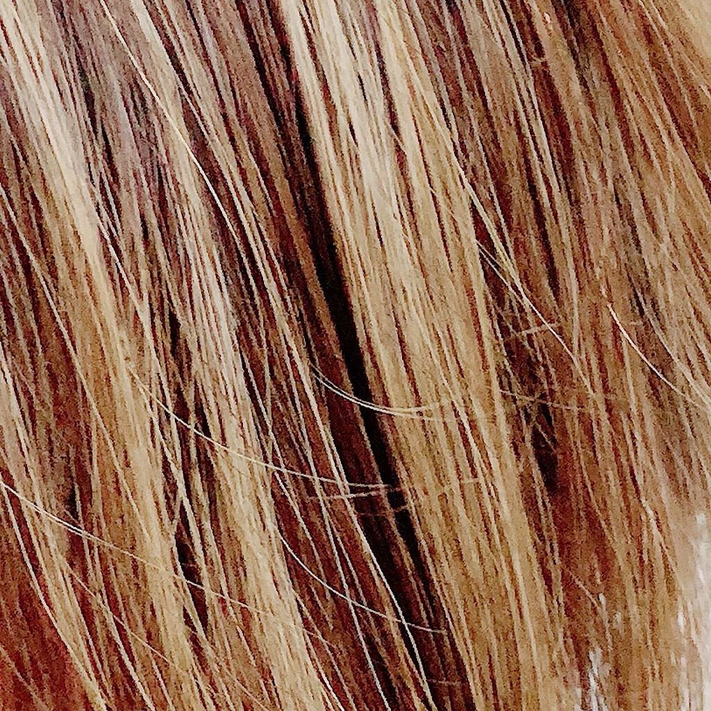 オーガニックヘアオイル クリアサボンの香り/ハーバルリーフ/アウトバストリートメントを使ったクチコミ（3枚目）