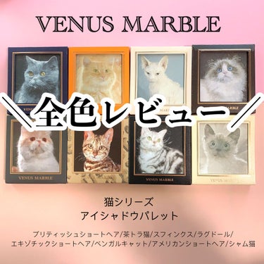 Venus Marble アイシャドウキャットシリーズ/Venus Marble/アイシャドウパレットを使ったクチコミ（1枚目）