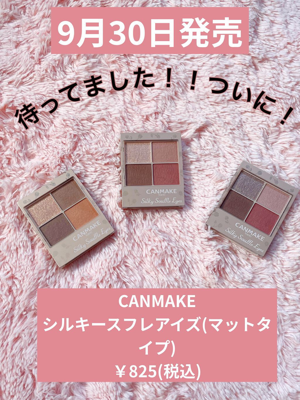 シルキースフレアイズ（マットタイプ）/キャンメイク/アイシャドウパレットを使ったクチコミ（1枚目）