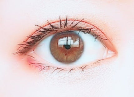 シングルカラーアイシャドウ/CEZANNE/単色アイシャドウを使ったクチコミ(3枚目)