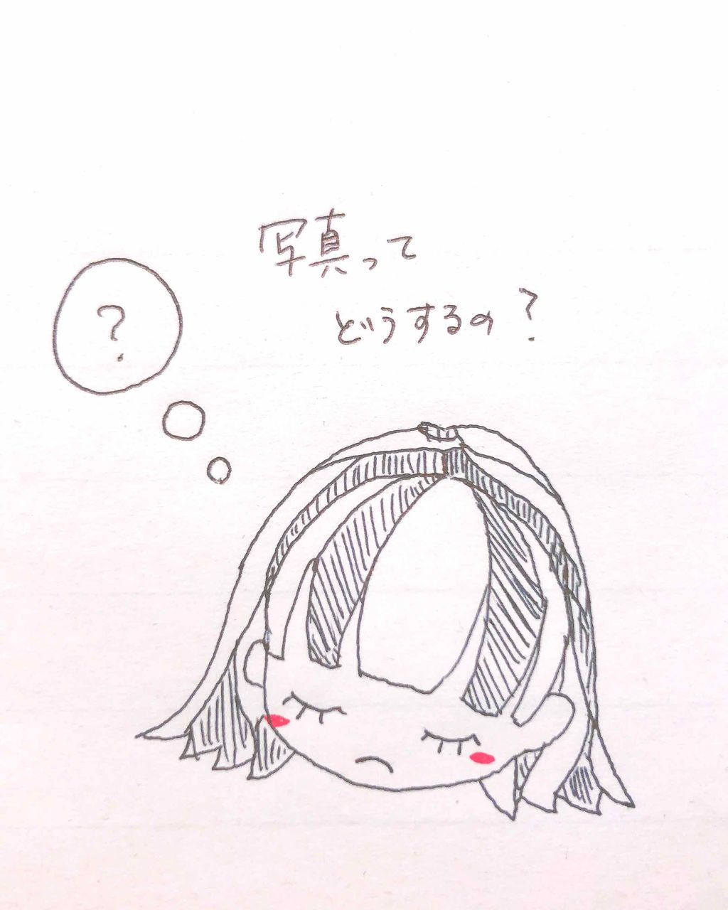 あるか on LIPS 「かなり初心者の質問です!(´・ェ・`)皆さんは、LiPsの写真..」(1枚目)