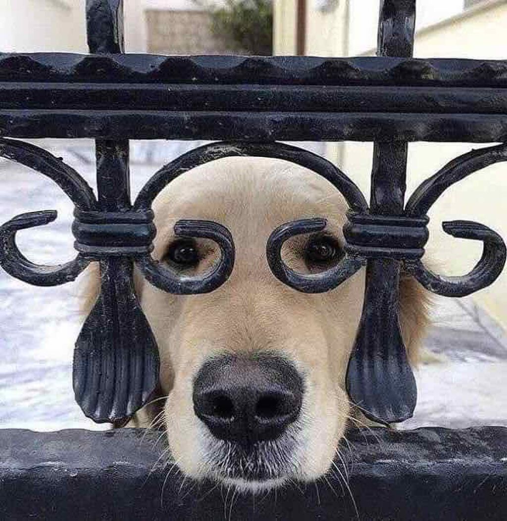 ステイオンバームルージュ/キャンメイク/口紅を使ったクチコミ（2枚目）