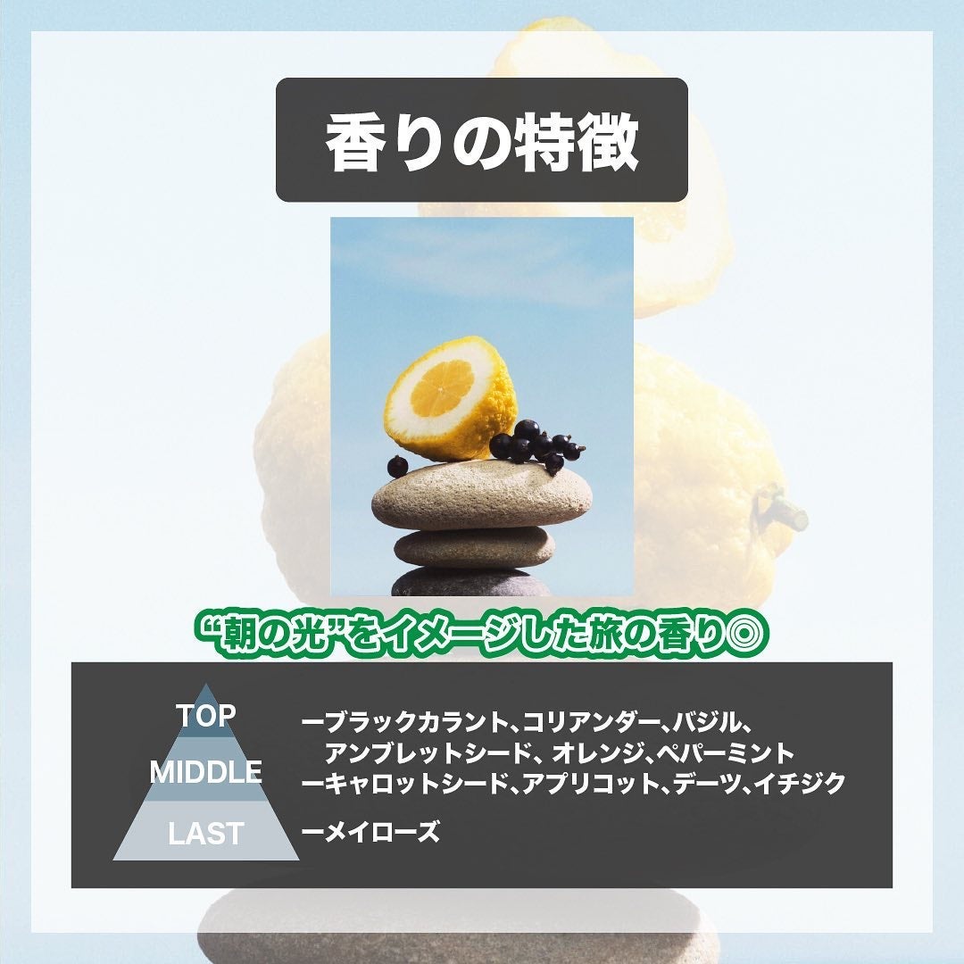 2023年夏新作香水()】PACIFIC CHILL (パシフィック チル)|ルイ 2023年夏新作香水()】PACIFIC CHILL (パシフィック チル)|ルイ