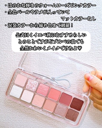 プロ アイ パレット エアー/CLIO/アイシャドウパレットを使ったクチコミ(3枚目)