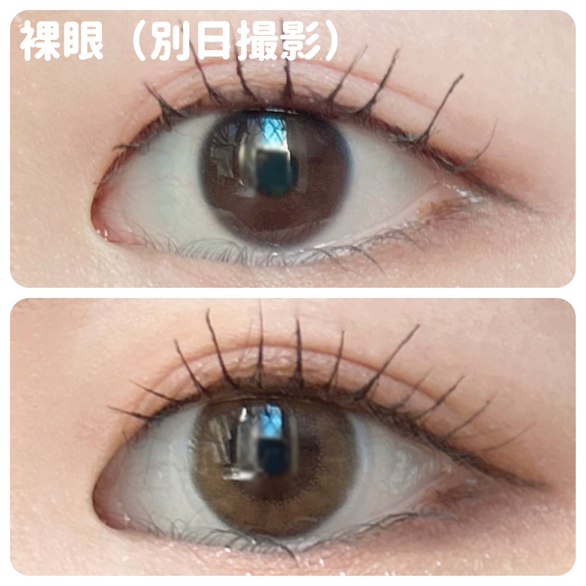 bellemebyEye coffret ヘーゼルリング 30枚入/シード/カラーコンタクトレンズを使ったクチコミ（3枚目）