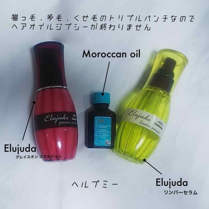 グレイスオン エマルジョン/エルジューダ/ヘアミルクを使ったクチコミ(1枚目)