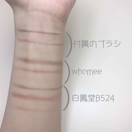 ヴィセ リシェ アイブロウパウダー/Visée/パウダーアイブロウを使ったクチコミ(3枚目)