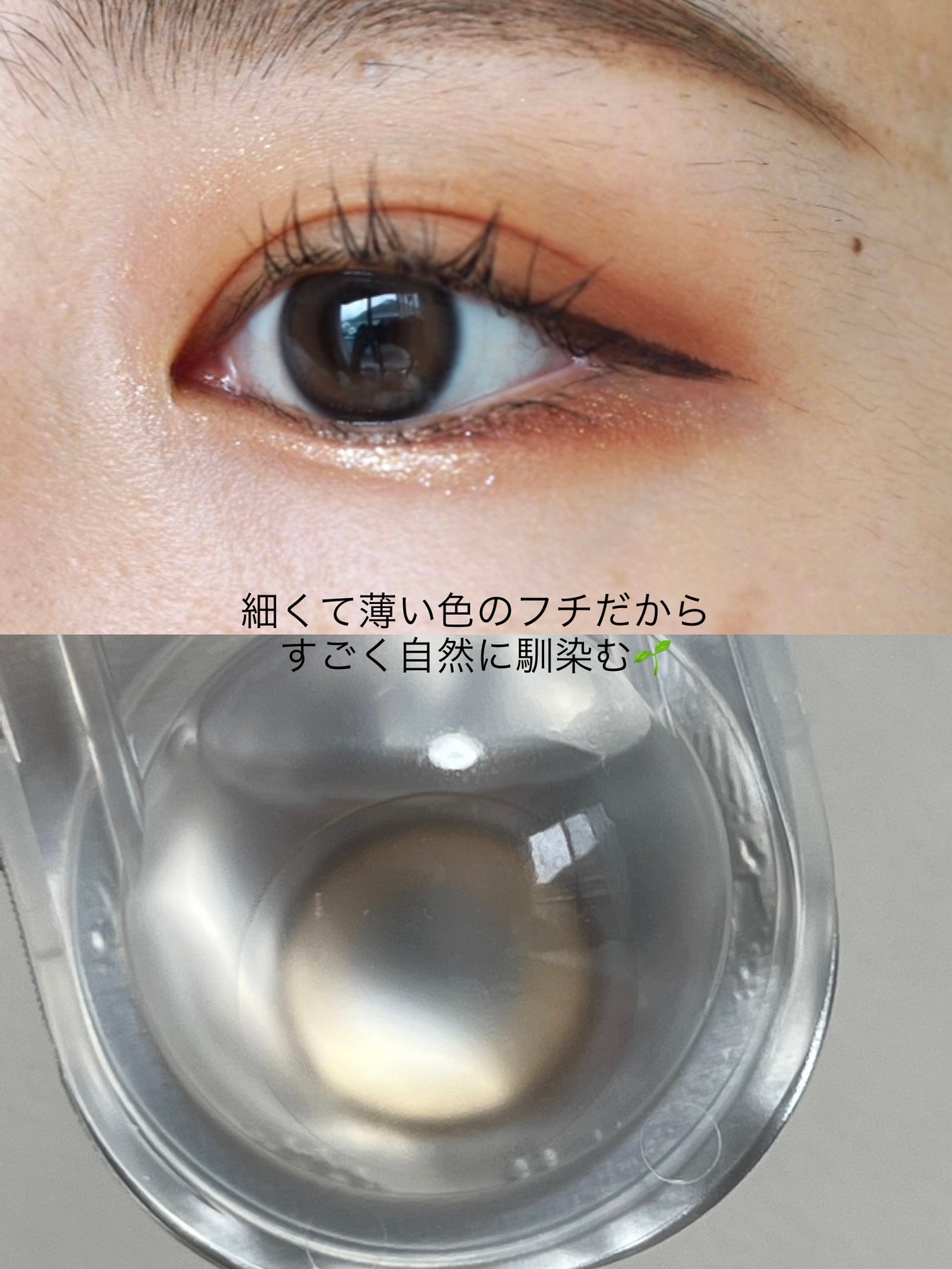 Real Ring 1day/OLENS/ワンデー(1DAY)カラコン by saki☽✯