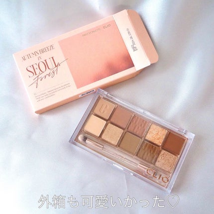 プロ アイ パレット/CLIO/アイシャドウパレットを使ったクチコミ(3枚目)