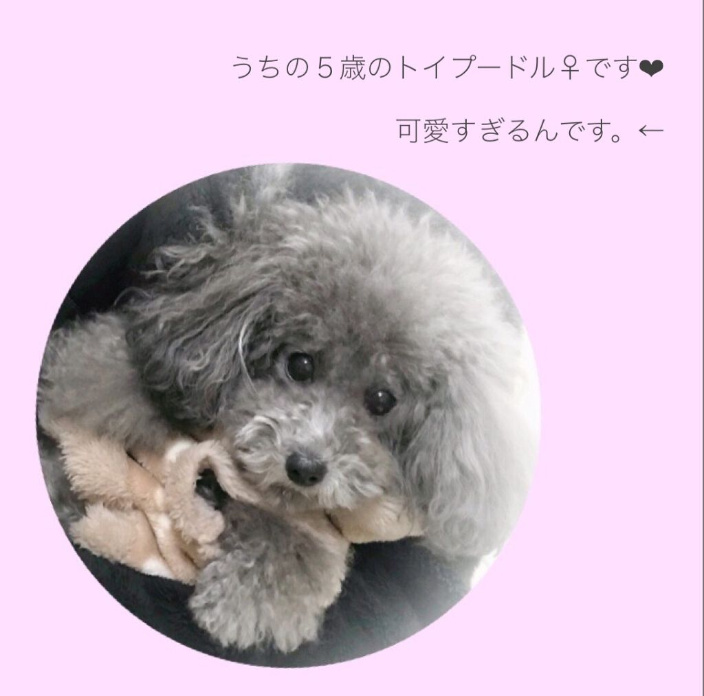 ガラクナイアシン2.0エッセンス/manyo/美容液を使ったクチコミ(4枚目)